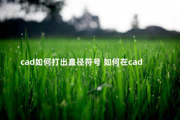 cad如何打出直径符号 如何在cad图纸上输入文字